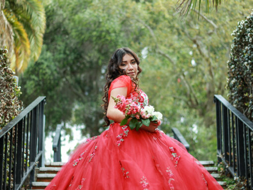 Stephania